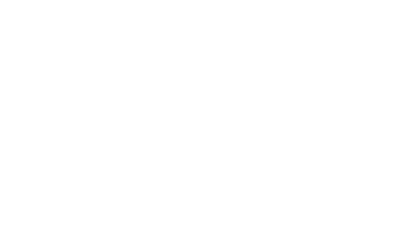 logo villa du petit bois