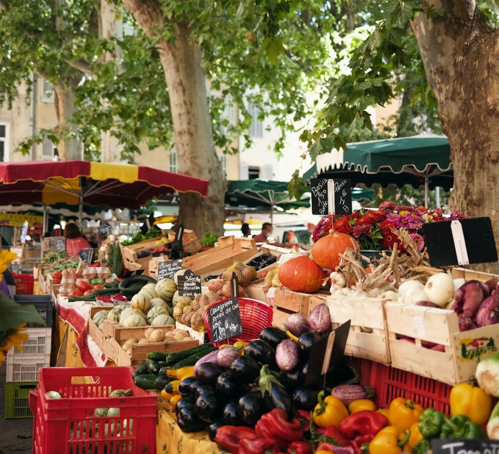 marché provençal